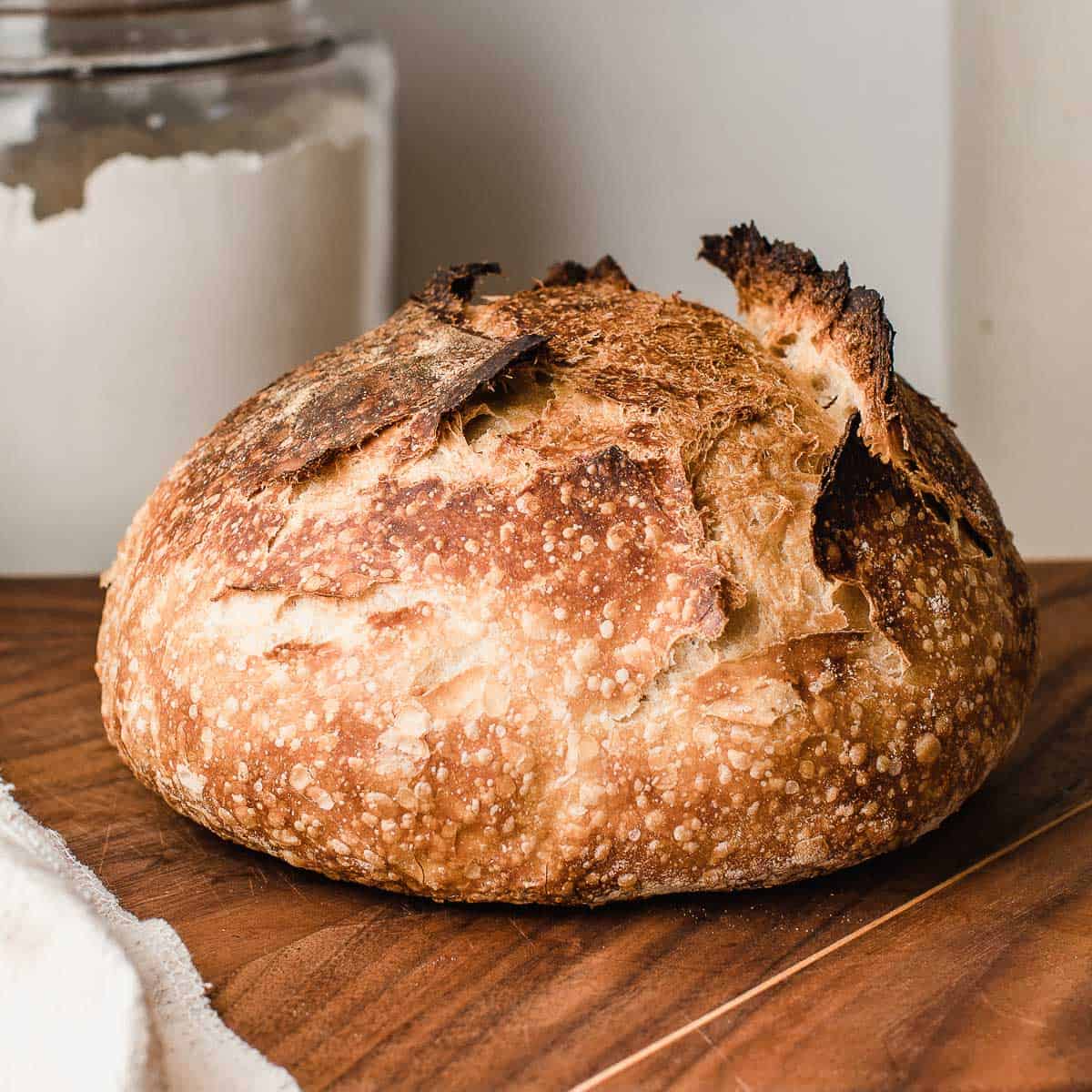 Sourdough Bread